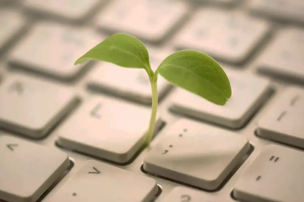 Éco-conception site web : ce que ça change vraiment pour une structure ESS