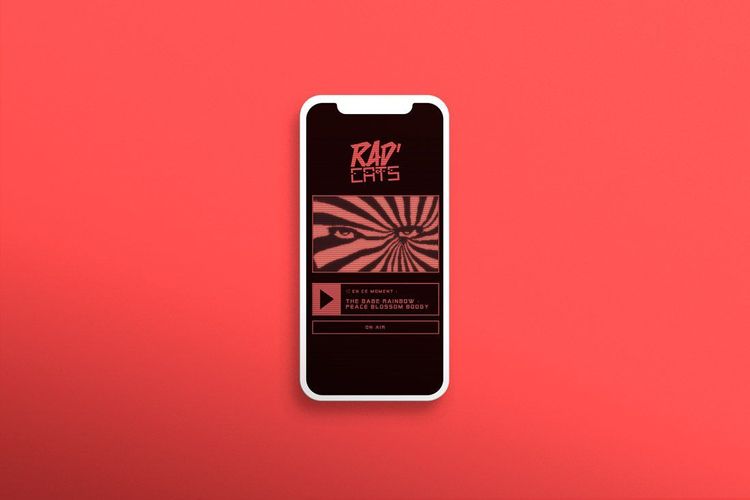 Screenshot de Radcats